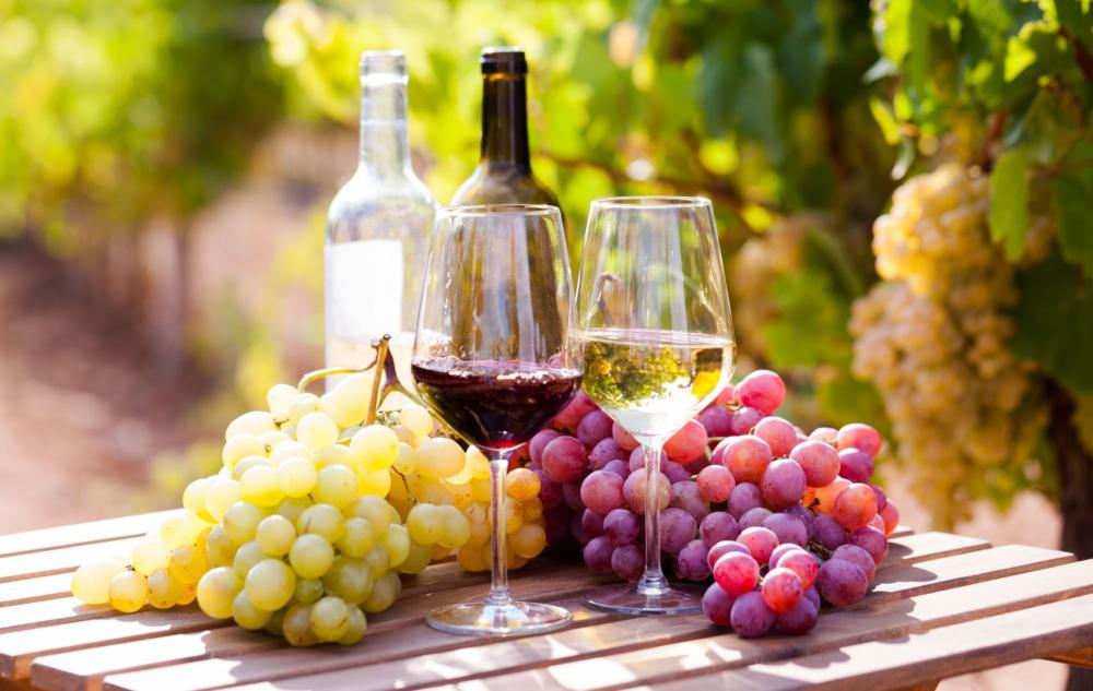 Vins près de Montpellier