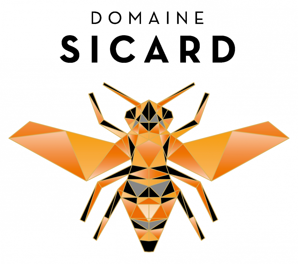 Logo sicard