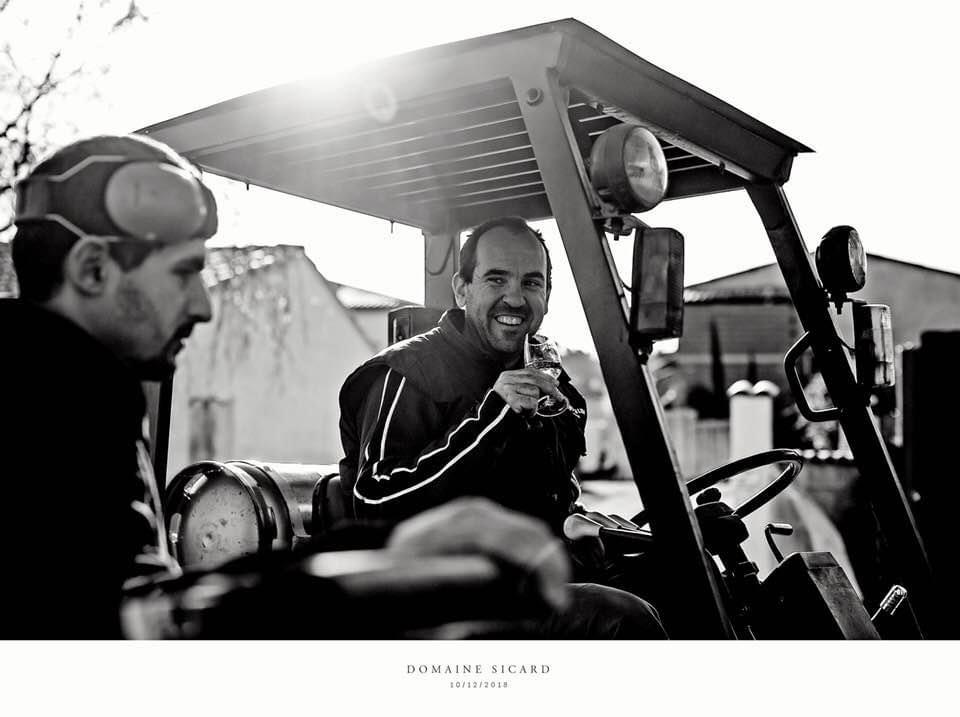 Producteur domaine sicard